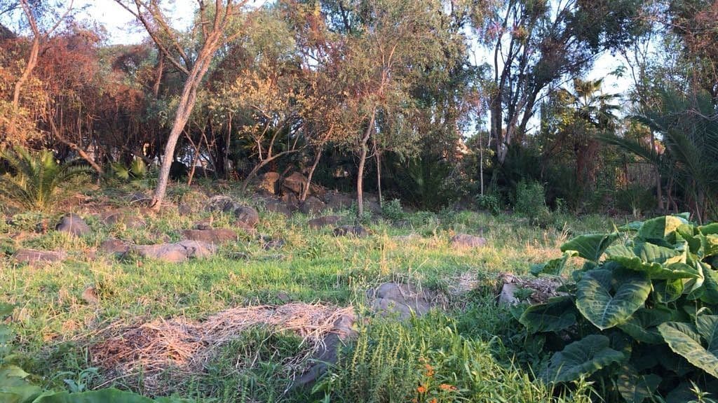 Terreno arbolado en Puente Viejo — foto 4