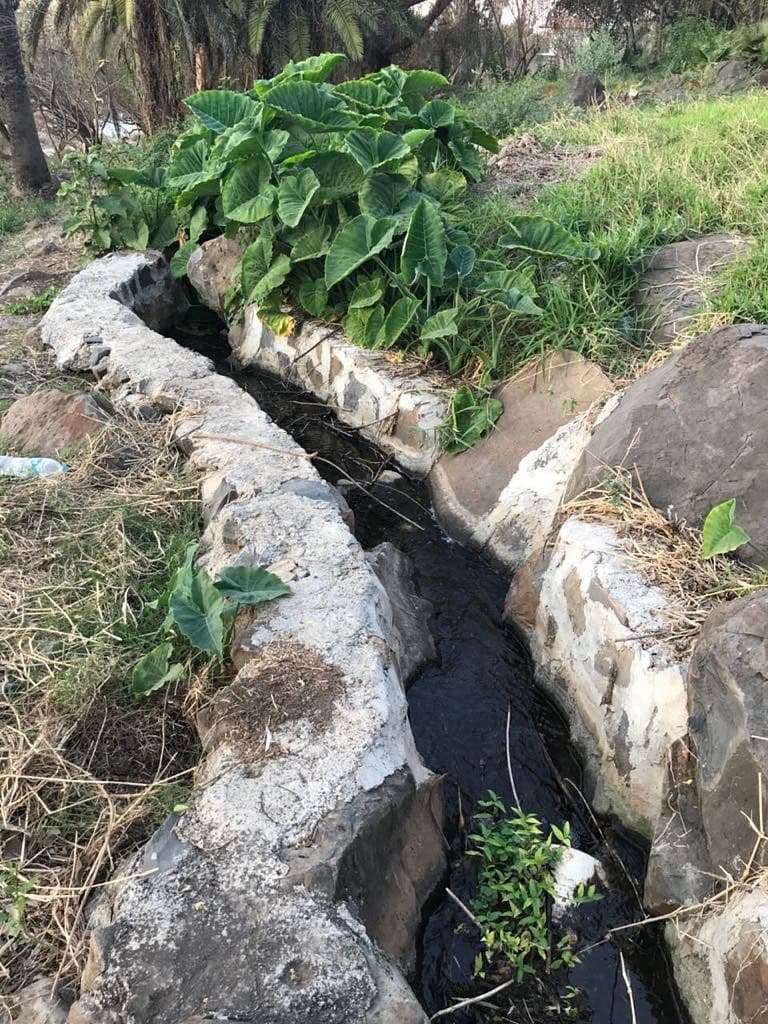 Terreno arbolado en Puente Viejo — foto 5